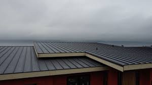 Best Steel Roofing  in Whiteland, IN